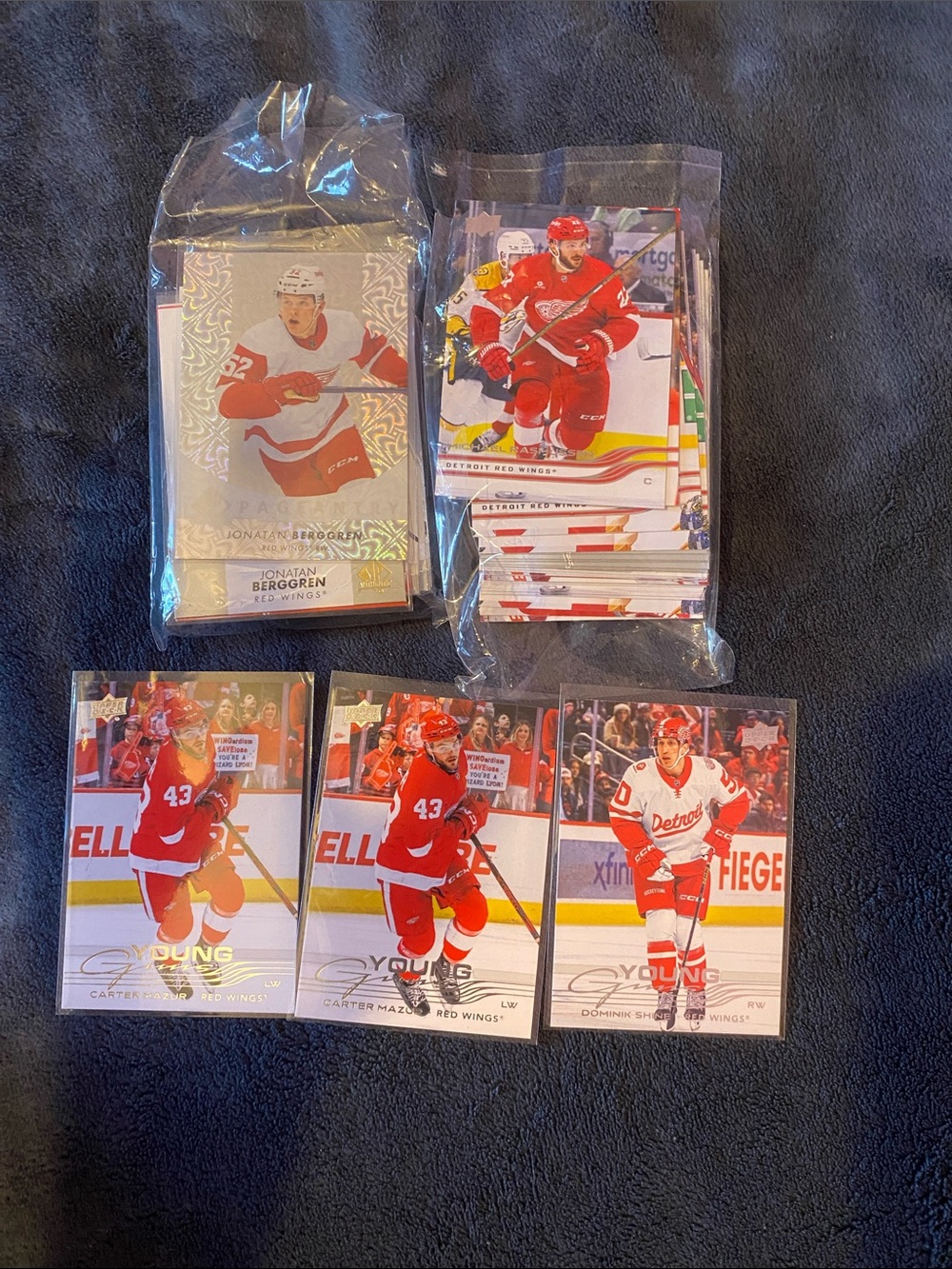 NHL Upper Deck Detroit Red Wings card lot